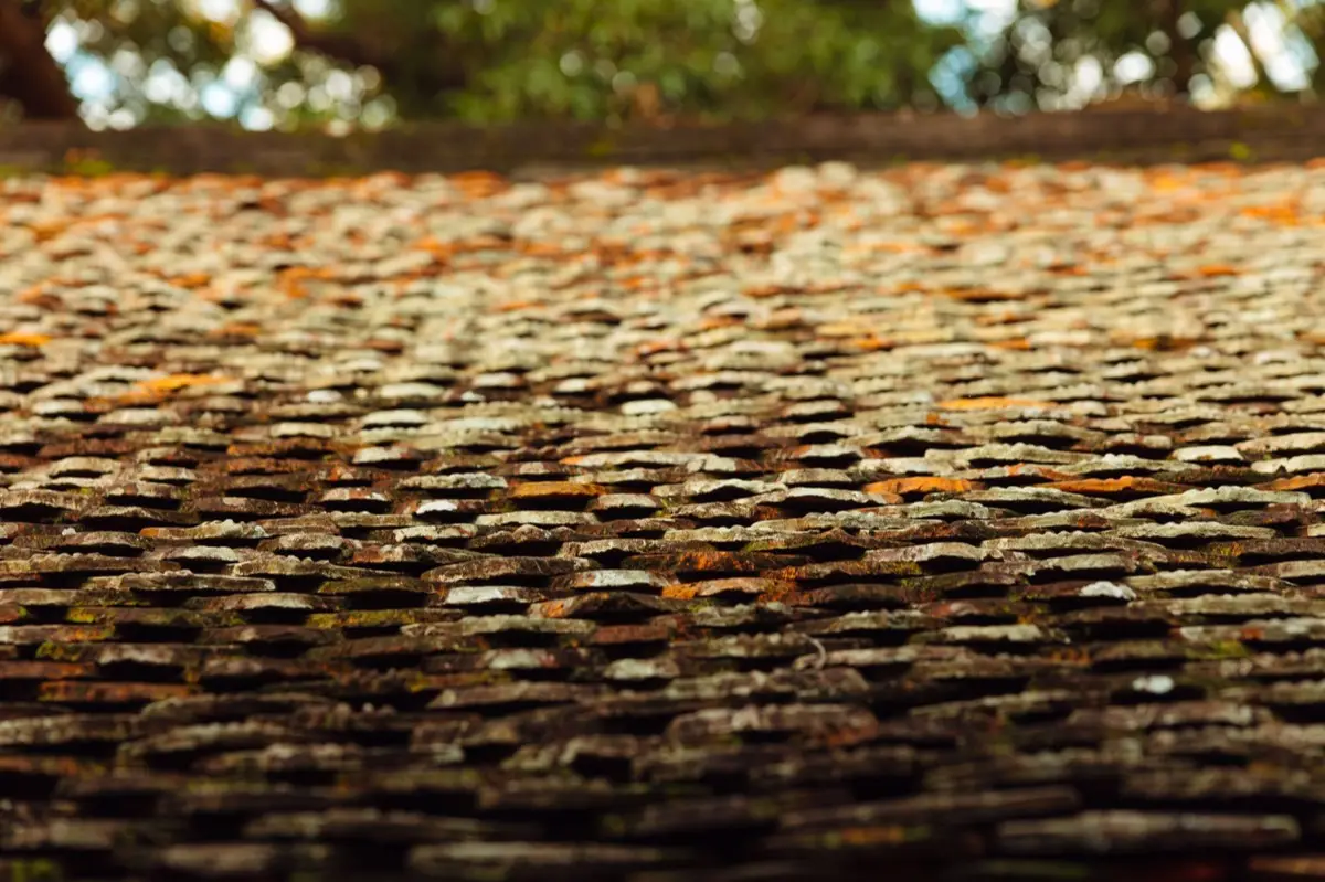 Roof Coatings & Sealing in Fishers, IN